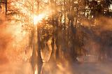 Misty Lake Martin Sunrise_25820